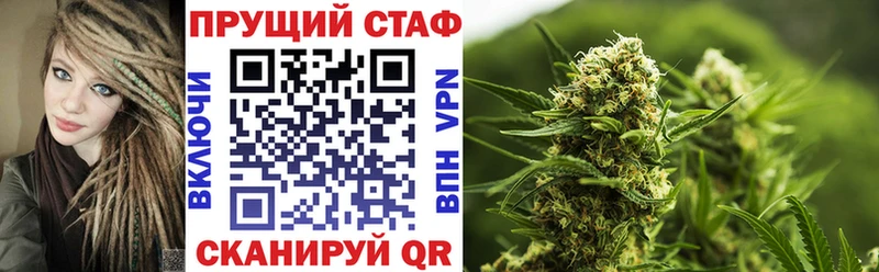 Бошки Шишки Стародуб