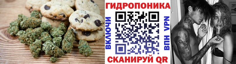 Cannafood конопля  Стародуб 