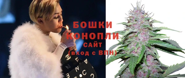 винт Лабытнанги
