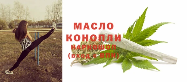 Альфа ПВП Лагань