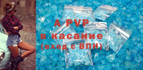 ECSTASY Кукмор