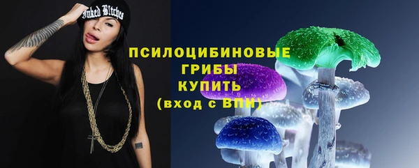 Альфа ПВП Лагань