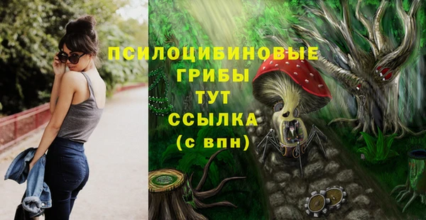 винт Лабытнанги