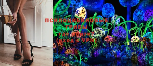 Альфа ПВП Лагань