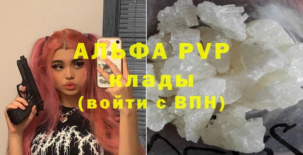 Альфа ПВП Лагань
