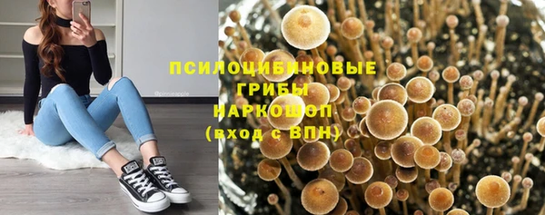 винт Лабытнанги