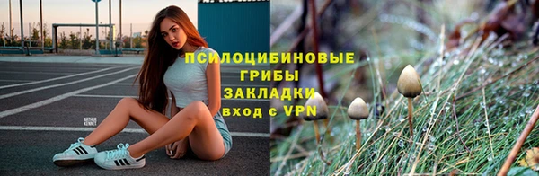 винт Лабытнанги
