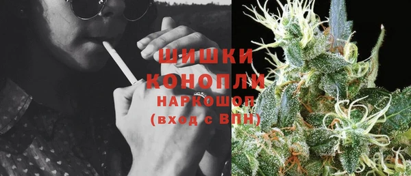 винт Лабытнанги
