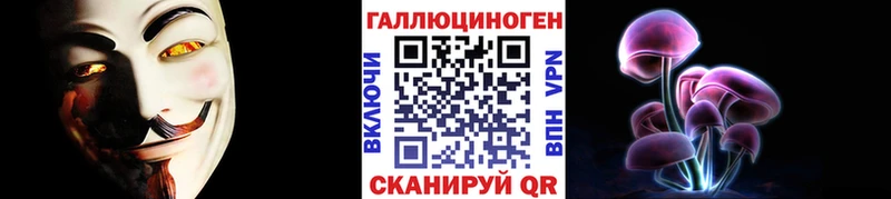 Псилоцибиновые грибы Psilocybine cubensis  Стародуб 